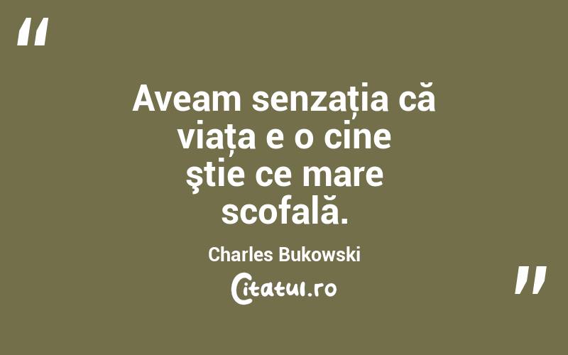 Aveam senzaţia că viaţa e o cine ştie ce mare scofală. Charles Bukowski
