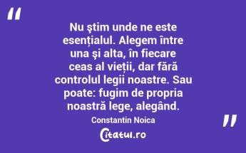 Nu ştim unde ne este esenţialul. Alegem între una şi alta, în fiecare ceas al vieţii, dar fără controlul legii noastre. Sau poate: fugim de propria noastră lege, alegând. Constantin Noica...