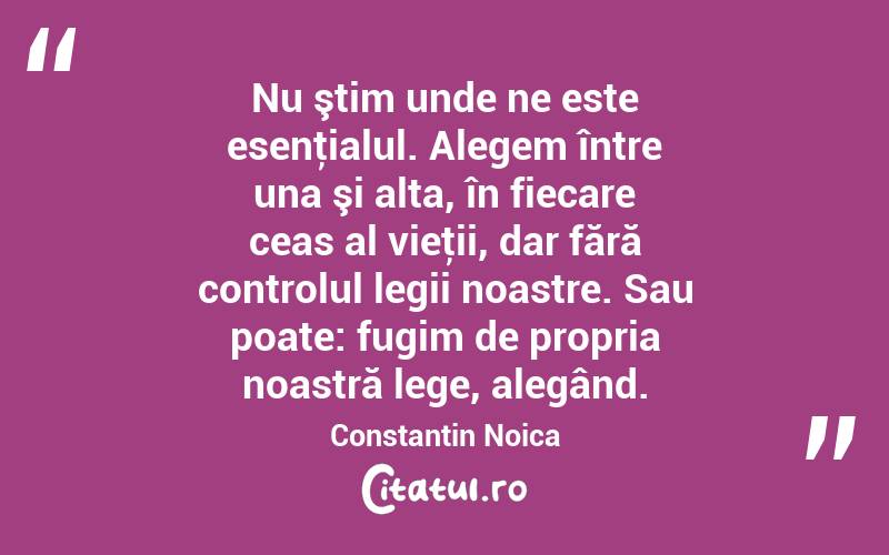 Nu ştim unde ne este esenţialul. Alegem între una şi alta, în fiecare ceas al vieţii, dar fără controlul legii noastre. Sau poate: fugim de propria noastră lege, alegând. Constantin Noica
