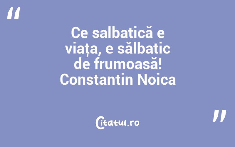 Ce salbatică e viaţa, e sălbatic de frumoasă! Constantin Noica
