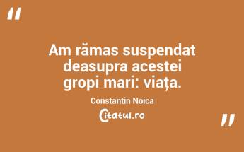 Am rămas suspendat deasupra acestei gropi mari: viaţa. Constantin Noica...