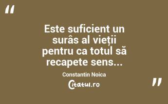 Este suficient un surâs al vieţii pentru ca totul să recapete sens... Constantin Noica...