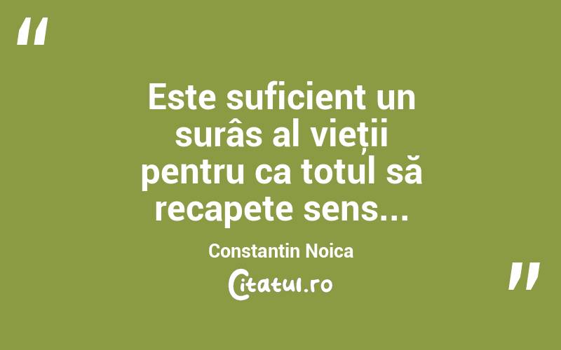 Este suficient un surâs al vieţii pentru ca totul să recapete sens... Constantin Noica