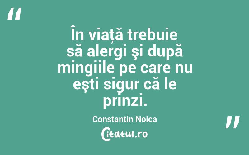 În viaţă trebuie să alergi şi după mingiile pe care nu eşti sigur că le prinzi. Constantin Noica
