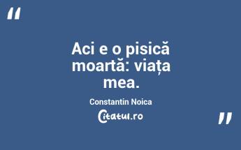 Aci e o pisică moartă: viaţa mea. Constantin Noica...