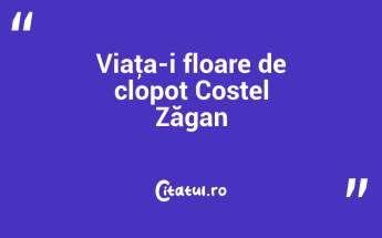 Viaţa-i floare de clopot Costel Zăgan...