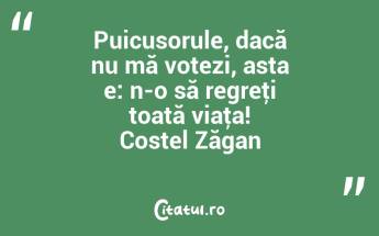 Puicusorule, dacă nu mă votezi, asta e: n-o să regreţi toată viaţa! Costel Zăgan...