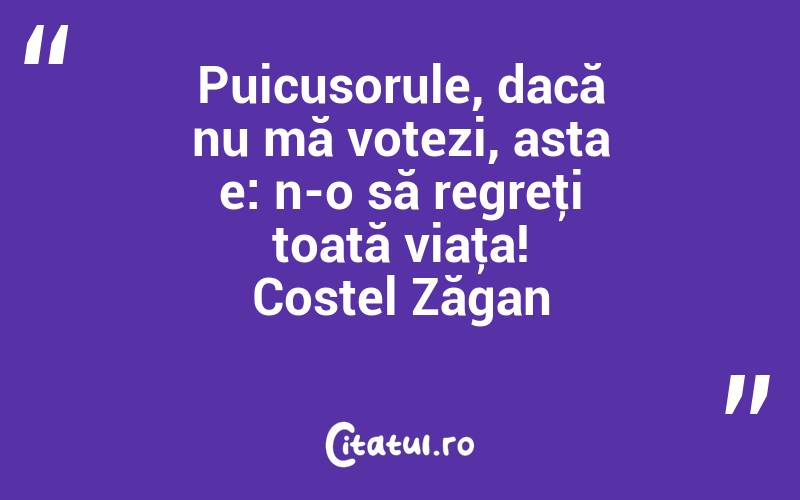 Puicusorule, dacă nu mă votezi, asta e: n-o să regreţi toată viaţa! Costel Zăgan