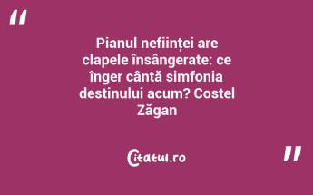 Pianul nefiinţei are clapele însângerate: ce înger cântă simfonia destinului acum? Costel Zăgan...