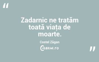 Zadarnic ne tratăm toată viaţa de moarte. Costel Zăgan...