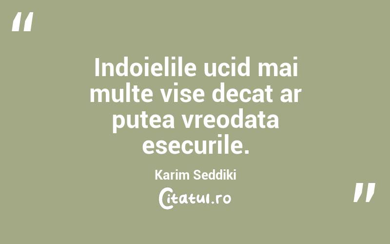 Indoielile ucid mai multe vise decat ar putea vreodata esecurile.  Karim Seddiki