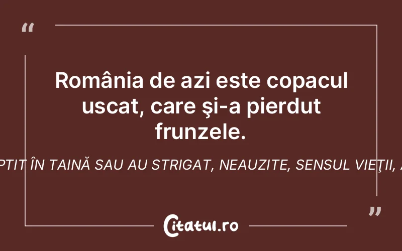 România de azi este copacul uscat, care şi-a pierdut frunzele. Aceste frunze, în căderea lor la pământ, au şoptit în taină sau au strigat, neauzite, sensul vieţii, al morţii şi al suferinţei la care au fost supuse