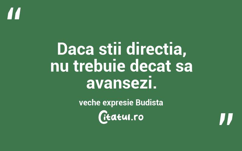 Daca stii directia, nu trebuie decat sa avansezi. veche expresie Budista