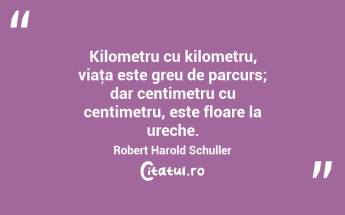 Kilometru cu kilometru, viaţa este greu de parcurs; dar centimetru cu centimetru, este floare la ureche. Robert Harold Schuller...