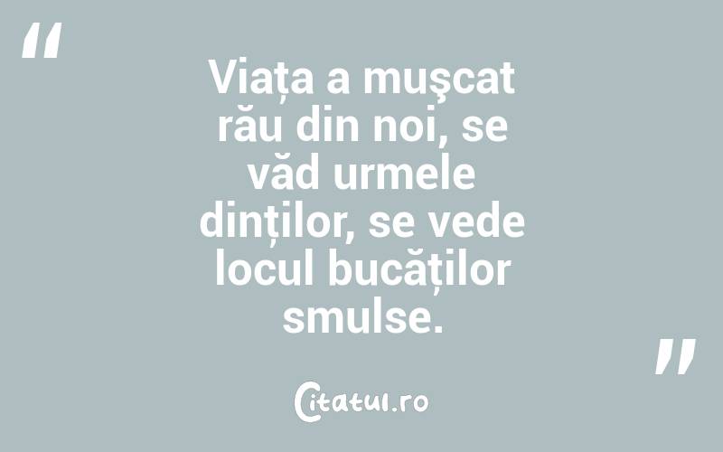 Viaţa a muşcat rău din noi, se văd urmele dinţilor, se vede locul bucăţilor smulse. 
