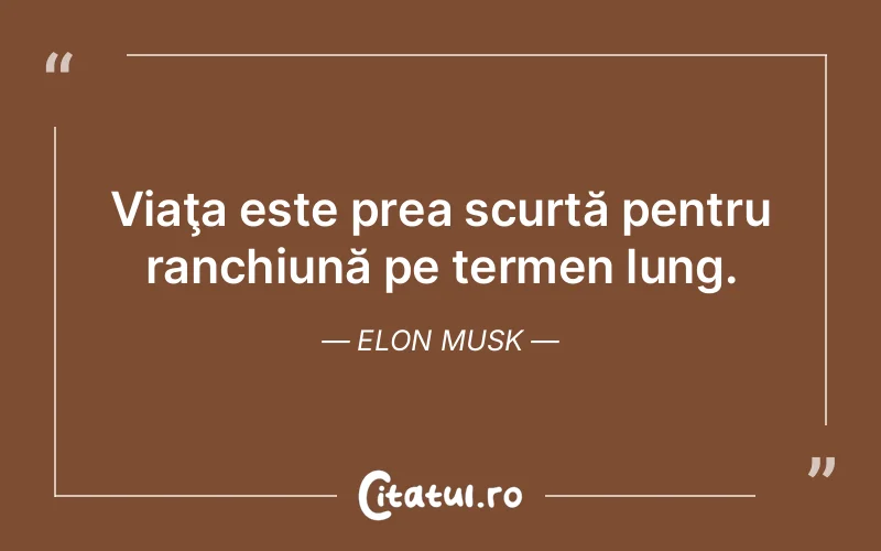 Citat Elon Musk - citate viata