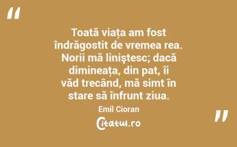 Toată viaţa am fost îndrăgostit de vremea rea. Norii mă liniştesc; dacă dimineaţa, din pat, îi văd trecând, mă simt în stare să înfrunt ziua. Emil Cioran...