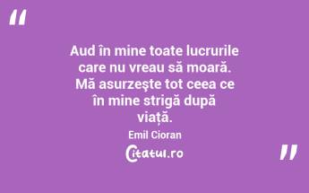 Aud în mine toate lucrurile care nu vreau să moară. Mă asurzeşte tot ceea ce în mine strigă după viaţă. Emil Cioran...