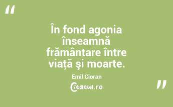 În fond agonia înseamnă frământare între viaţă şi moarte. Emil Cioran...