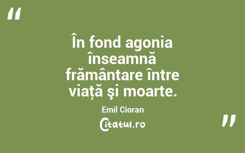 În fond agonia înseamnă frământare între viaţă şi moarte. Emil Cioran
