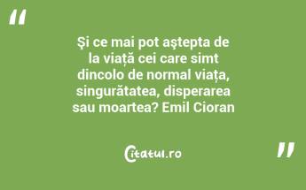 Şi ce mai pot aştepta de la viaţă cei care simt dincolo de normal viaţa, singurătatea, disperarea sau moartea? Emil Cioran...