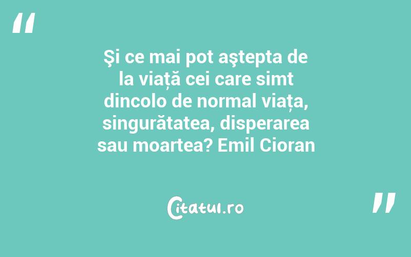 Şi ce mai pot aştepta de la viaţă cei care simt dincolo de normal viaţa, singurătatea, disperarea sau moartea? Emil Cioran
