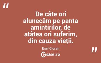De câte ori alunecăm pe panta amintirilor, de atâtea ori suferim, din cauza vieţii. Emil Cioran...