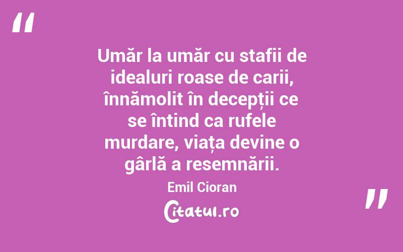 Umăr la umăr cu stafii de idealuri roase de carii, înnămolit în decepţii ce se întind ca rufele murdare, viaţa devine o gârlă a resemnării. Emil Cioran