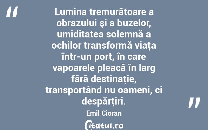 Lumina tremurătoare a obrazului şi a buzelor, umiditatea solemnă a ochilor transformă viaţa într-un port, în care vapoarele pleacă în larg fără destinaţie, transportând nu oameni, ci despărţiri. Emil Cioran
