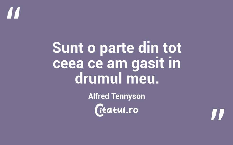 Sunt o parte din tot ceea ce am gasit in drumul meu. Alfred Tennyson
