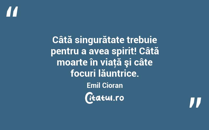 Câtă singurătate trebuie pentru a avea spirit! Câtă moarte în viaţă şi câte focuri lăuntrice. Emil Cioran
