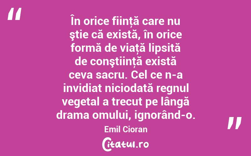 În orice fiinţă care nu ştie că există, în orice formă de viaţă lipsită de conştiinţă există ceva sacru. Cel ce n-a invidiat niciodată regnul vegetal a trecut pe lângă drama omului, ignorând-o. Emil Cioran
