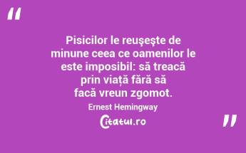 Pisicilor le reuşeşte de minune ceea ce oamenilor le este imposibil: să treacă prin viaţă fără să facă vreun zgomot. Ernest Hemingway...