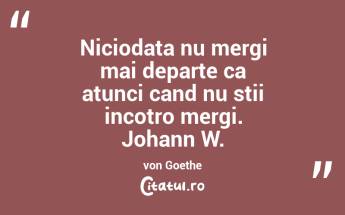 Niciodata nu mergi mai departe ca atunci cand nu stii incotro mergi. Johann W. von Goethe...