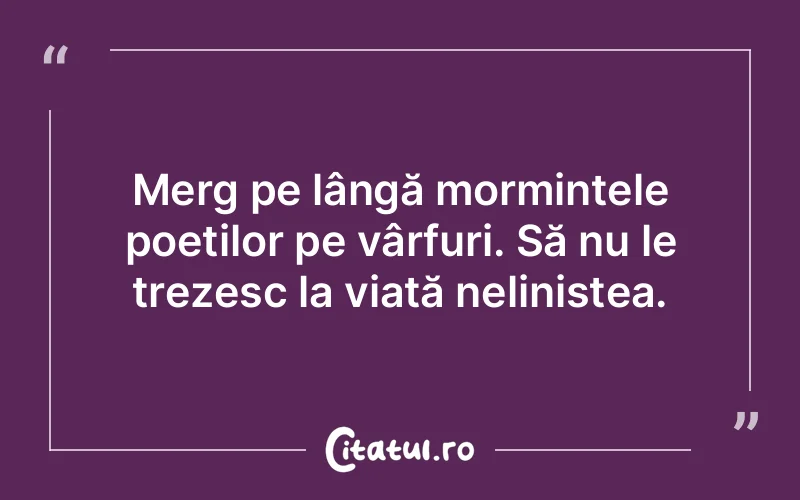 Citat Autor necunoscut - citate viata