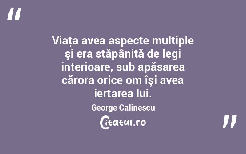 Viaţa avea aspecte multiple şi era stăpânită de legi interioare, sub apăsarea cărora orice om îşi avea iertarea lui. George Calinescu