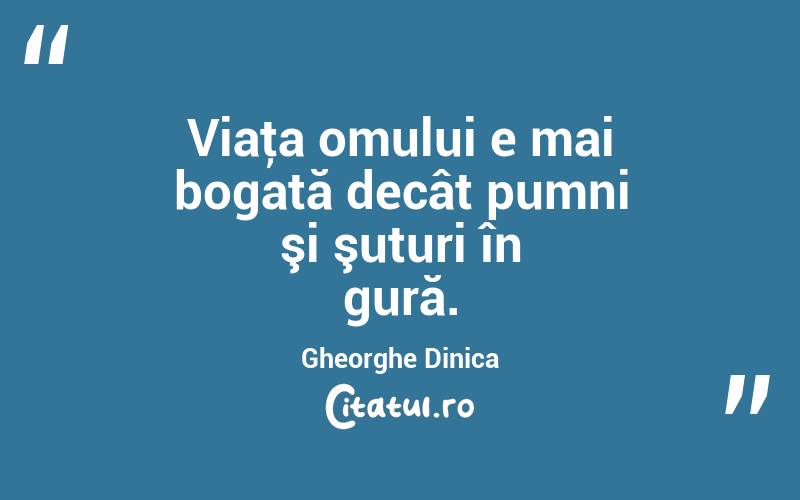 Viaţa omului e mai bogată decât pumni şi şuturi în gură. Gheorghe Dinica