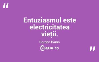 Entuziasmul este electricitatea vieţii. Gordon Parks...