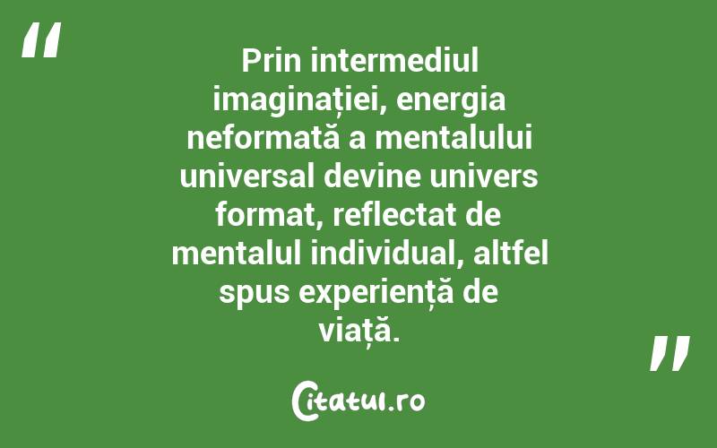 Prin intermediul imaginaţiei, energia neformată a mentalului universal devine univers format, reflectat de mentalul individual, altfel spus experienţă de viaţă. 
