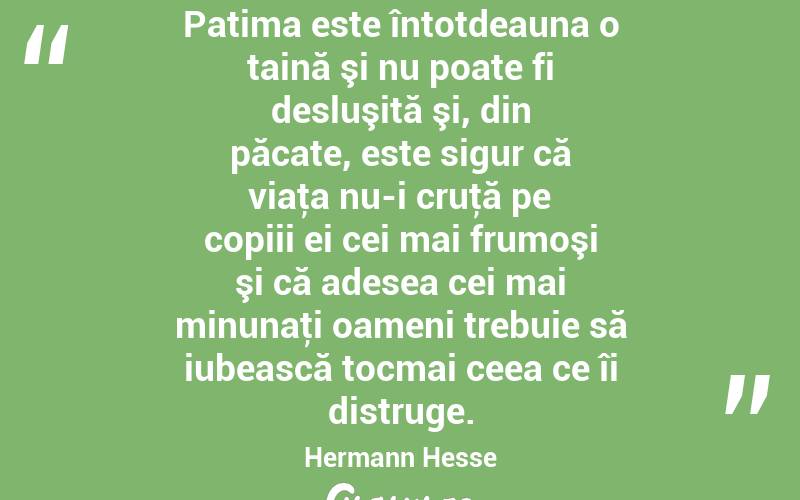 Patima este întotdeauna o taină şi nu poate fi desluşită şi, din păcate, este sigur că viaţa nu-i cruţă pe copiii ei cei mai frumoşi şi că adesea cei mai minunaţi oameni trebuie să iubească tocmai ceea ce îi distruge. Hermann Hesse

