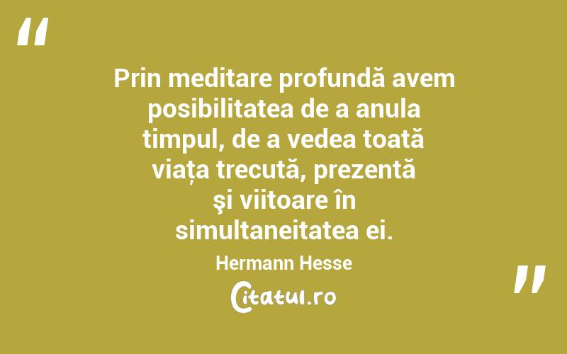Prin meditare profundă avem posibilitatea de a anula timpul, de a vedea toată viaţa trecută, prezentă şi viitoare în simultaneitatea ei. Hermann Hesse
