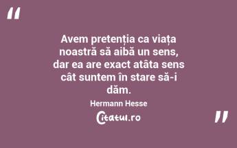Avem pretenţia ca viaţa noastră să aibă un sens, dar ea are exact atâta sens cât suntem în stare să-i dăm. Hermann Hesse...