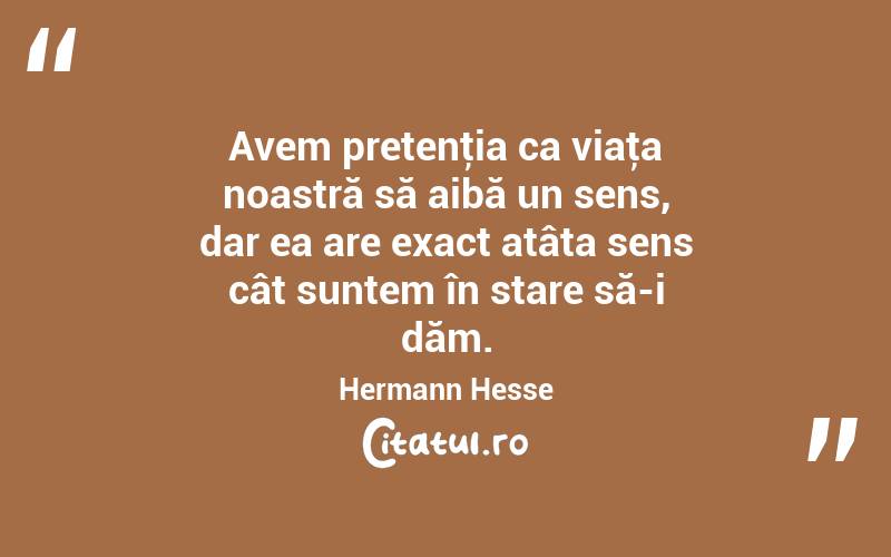 Avem pretenţia ca viaţa noastră să aibă un sens, dar ea are exact atâta sens cât suntem în stare să-i dăm. Hermann Hesse
