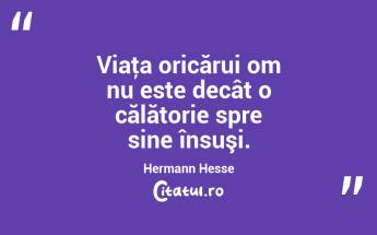 Viaţa oricărui om nu este decât o călătorie spre sine însuşi. Hermann Hesse...
