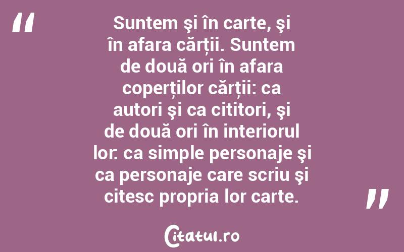 Suntem şi în carte, şi în afara cărţii. Suntem de două ori în afara coperţilor cărţii: ca autori şi ca cititori, şi de două ori în interiorul lor: ca simple personaje şi ca personaje care scriu şi citesc propria lor carte. 