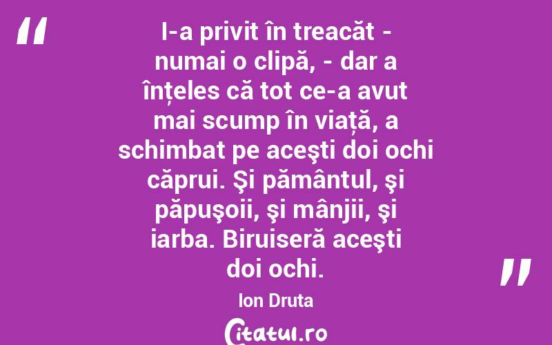 I-a privit în treacăt - numai o clipă, - dar a înţeles că tot ce-a avut mai scump în viaţă, a schimbat pe aceşti doi ochi căprui. Şi pământul, şi păpuşoii, şi mânjii, şi iarba. Biruiseră aceşti doi ochi. Ion Druta