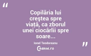 Copilăria lui creştea spre viaţă, ca zborul unei ciocârlii spre soare... Ionel Teodoreanu...