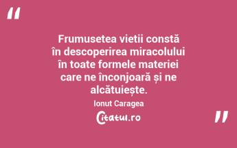 Frumusețea vieții constă în descoperirea miracolului în toate formele materiei care ne înconjoară și ne alcătuiește. Ionuț Caragea...