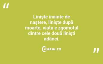Linişte înainte de naştere, linişte după moarte, viaţa e zgomotul dintre cele două linişti adânci. ...