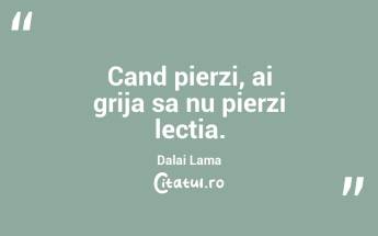 Cand pierzi, ai grija sa nu pierzi lectia. Dalai Lama...